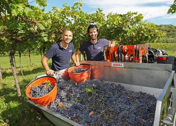 Alloggio per agriturismo La Rocca Bardolino