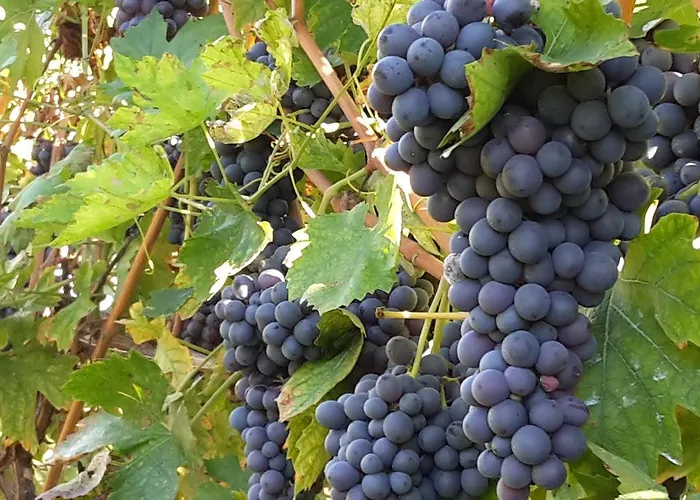 La Rocca Alloggio per agriturismo