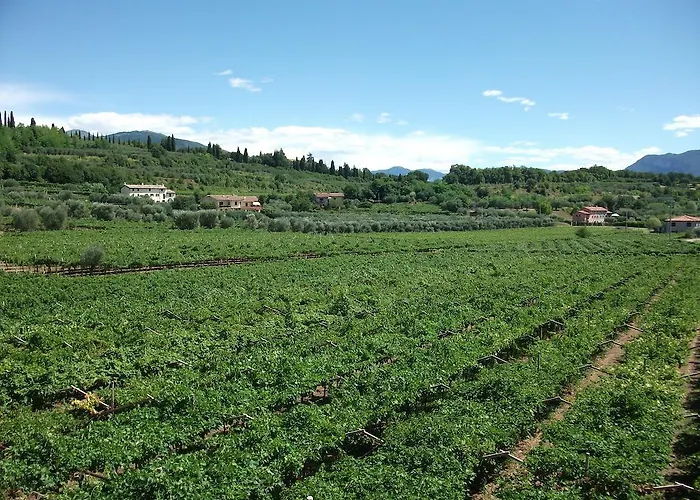 Agriturismo La Rocca