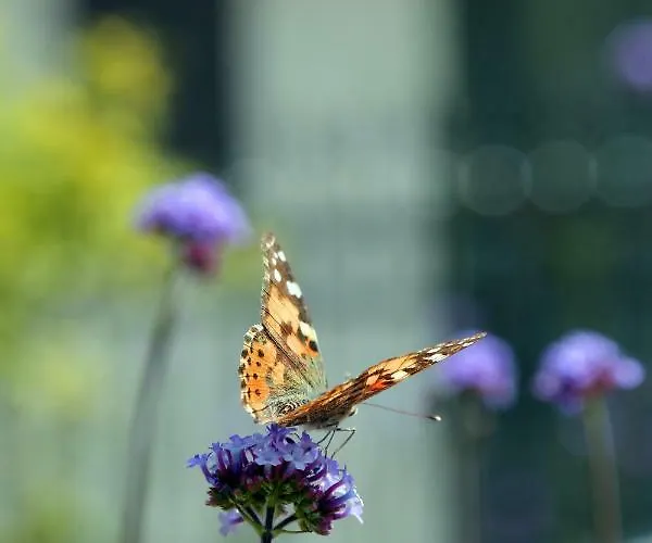Farm stay Agriturismo La Rocca *