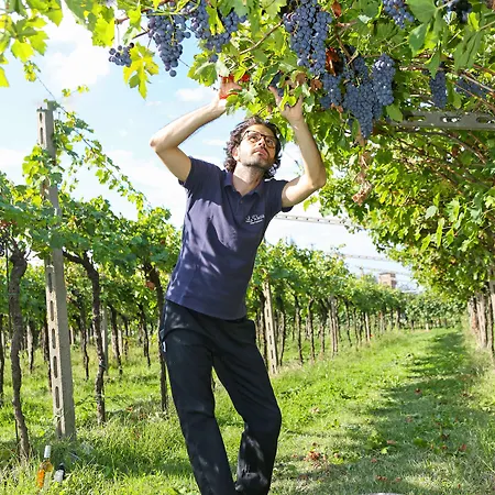 La Rocca Gospodarstwo agroturystyczne *