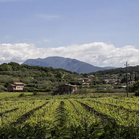 La Rocca * 巴多利诺