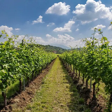 La Rocca * 巴多利诺