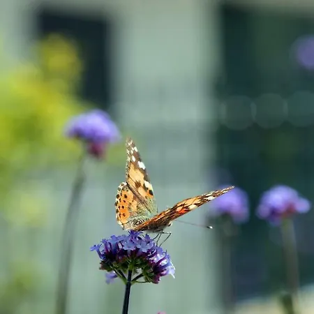 农家乐 La Rocca *