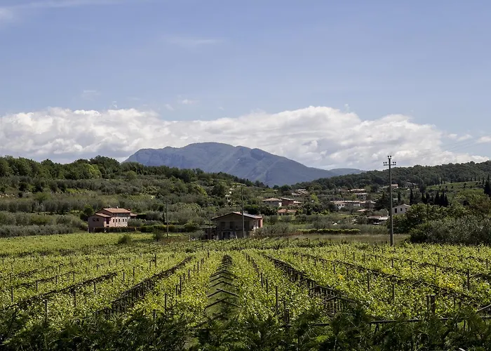 La Rocca * Бардолино