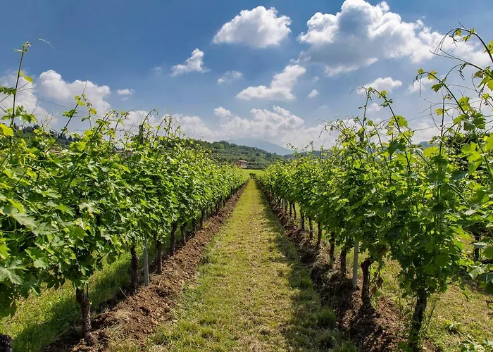 La Rocca * ברדולינו